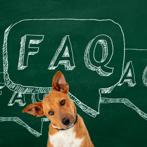 Charlie's Treats Natural Dog Treats FAQ