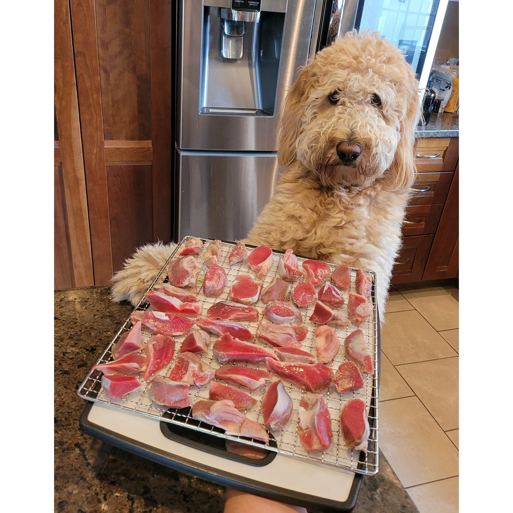 natural single ingredient dog treats dehydrated  100% turkey gizzards size: (4oz)