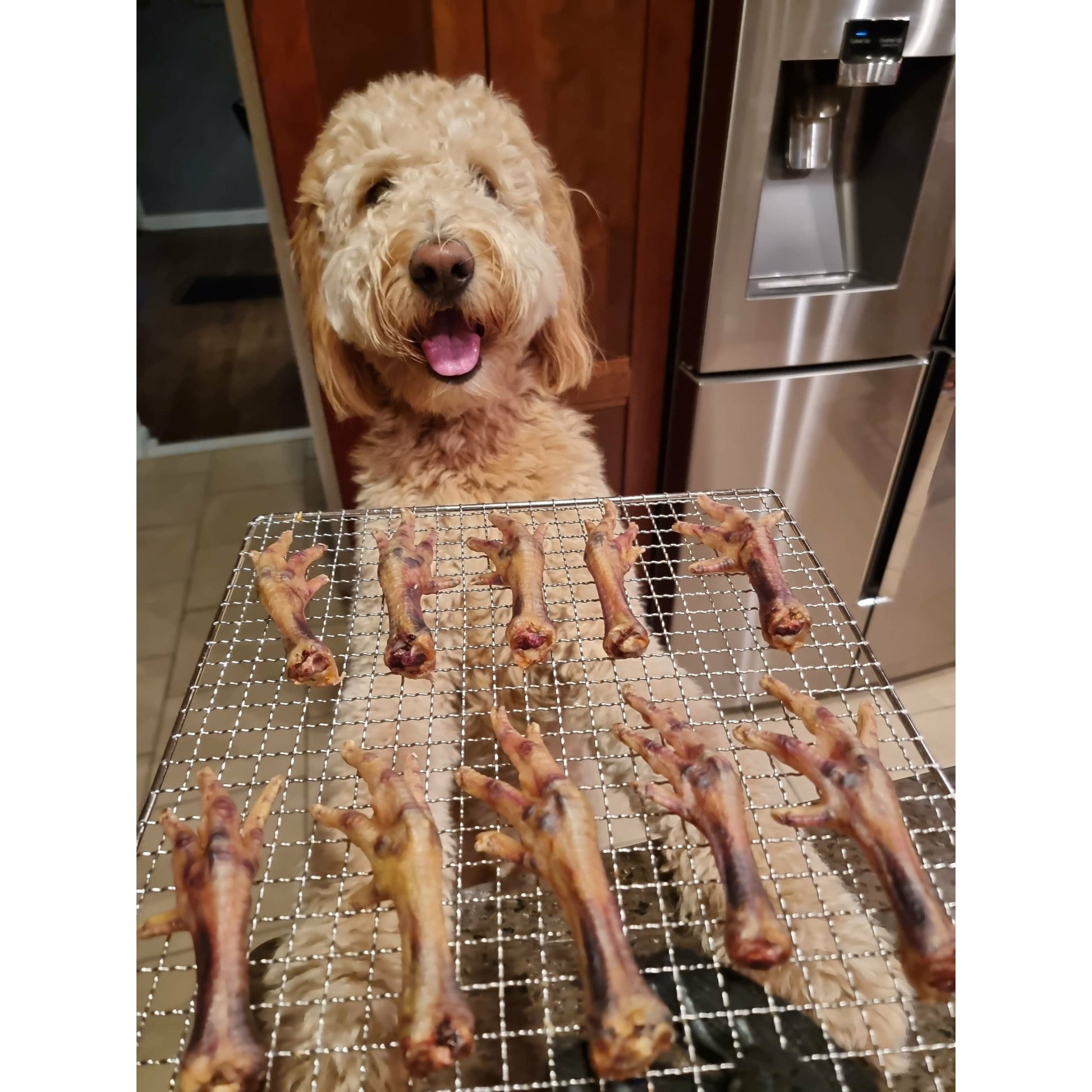 natural single ingredient dog treats dehydrated chicken feet size: 7 nail clipped feet per bag