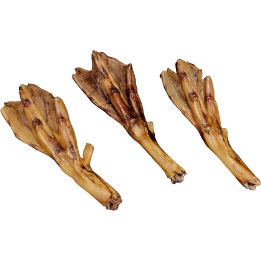 natural single ingredient dog treats dehydrated  duck feet size: 7 nail clipped feet per bag